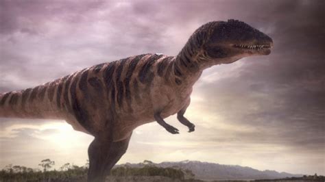 10 Largest Meat Eating Dinosaurs Paleontology World