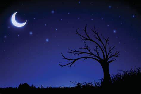 fundo de noite estrelada com lua crescente silhueta de árvore e grama