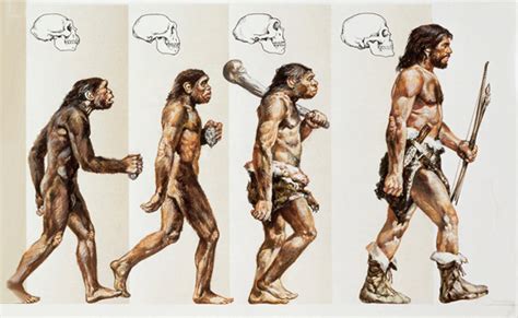 Teori Evolusi Pengertian Sejarah Dan Tokoh Pencetusnya
