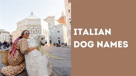 Italian Dog Names Fantastico Names For Your Fido Pet Lovers News Hub