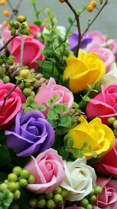 Flori Frumoase Beautiful Flowers Pictures Beautiful Flowers Wallpapers