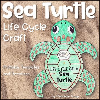 Sea Turtle Life Cycle Craft By Stephanie Trapp Tpt