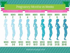 Progression Chart Baby Things Pinterest Pregnancy Babies And