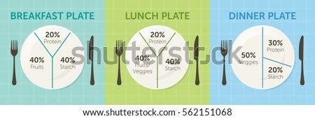 Chart room is a local favorite seafood restaurant in crescent city that offers casual waterfront dining, and was voted best seafood & best clam chowder in the readers choice award. Healthy Eating Plate Diagram Breakfast Lunch Stock Vector ...