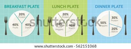 See more ideas about recipes, food, breakfast lunch dinner. Healthy Eating Plate Diagram Breakfast Lunch Stock Vector ...