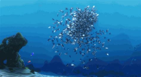 Finding Nemo Pixar   By Disney Pixar Find And Share On Giphy