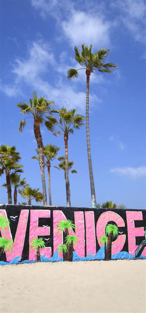 62 Venice Beach Skyline Wallpapers Wallpapersafari
