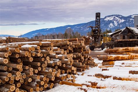 Canadian Lumber Mills Desire A New Cope With The Us — And Their