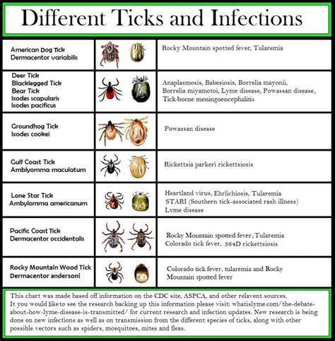 Lymes Disease New Tick Co Infections Google Search Lyme Disease Lyme Disease Awareness