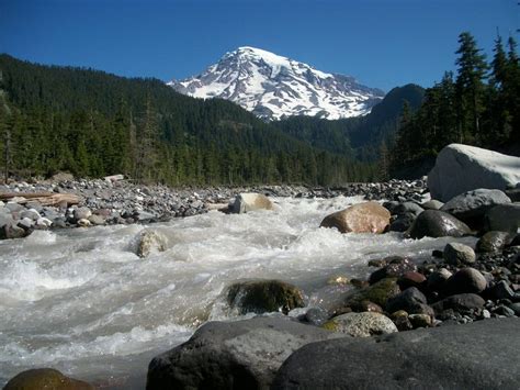 Encounter On The Nisqually River Sasquatch Chronicles