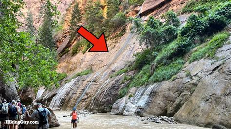 The Easy Narrows Hike To Wall Street Zion