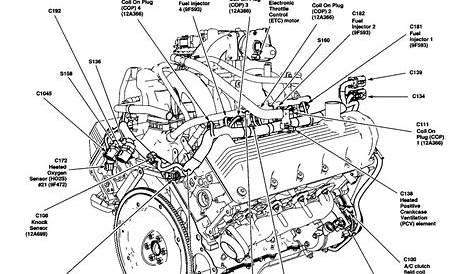 ford f 150 4 9 engine diagram