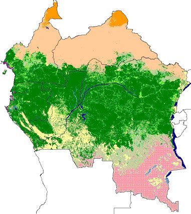 A major feature of the central african forest biome is the presence of ribbons of. Forest Observations