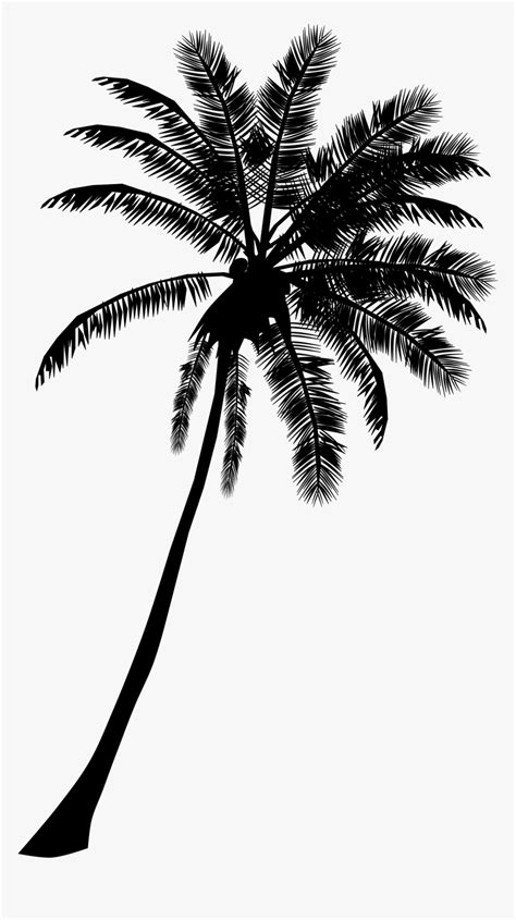 Palm Trees Black And White Clip Art