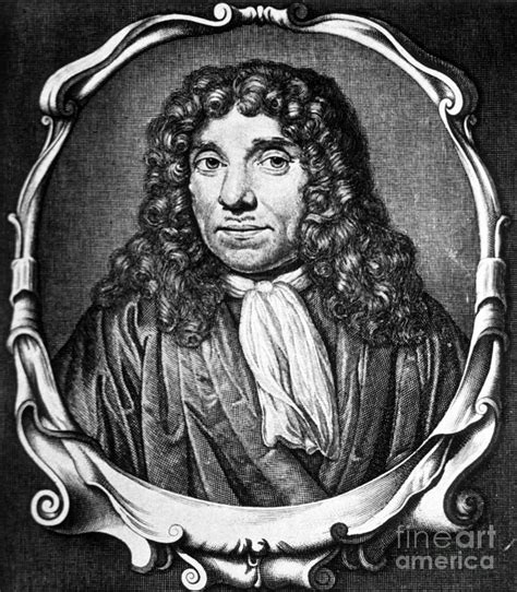 Anton Van Leeuwenhoek Dutch Photograph By Science Source