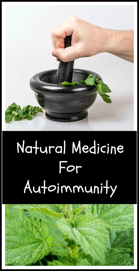 Natural Medicine For Autoimmune Disease Organic Palace Queen