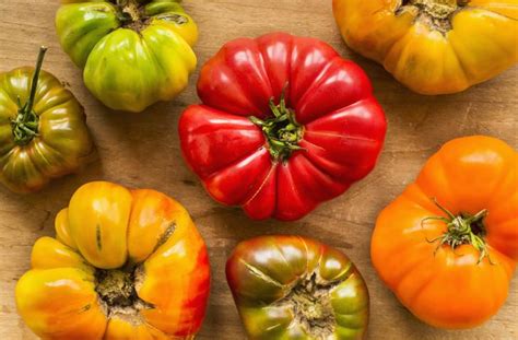 Summer Is Fancy Tomato Season But What Makes Heirlooms So Special And