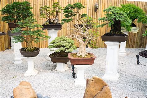 20 Japanese Botanical Garden Design Ideas To Inspire Your