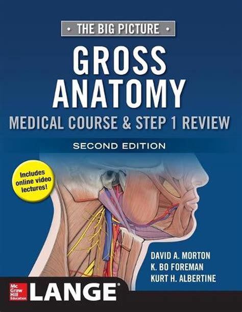 The Big Picture Gross Anatomy Medical Course And Step 1 Review 2nd