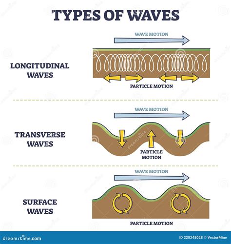 Transverse And Longitudinal Waves Cartoon Vector