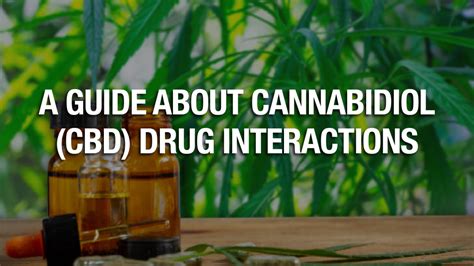 a guide about cannabidiol cbd drug interaction