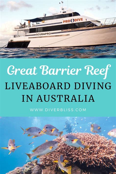 My First Liveaboard At The Great Barrier Reef In 2020 Great Barrier