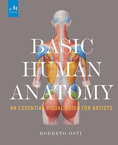 9781580934381 Basic Human Anatomy An Essential Visual Guide For