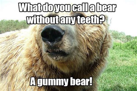 143 Best Images About Animal Puns On Pinterest Animal Puns Humor And