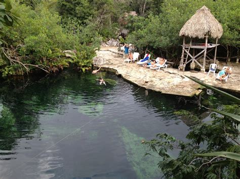 Cenote Cristalino En Playa Del Carmen 8 Opiniones Y 14 Fotos