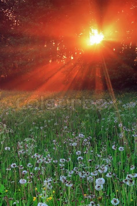 Sun Rays Pass Through The Mist In The Stock Image Colourbox