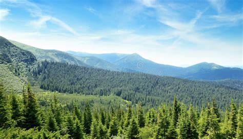 Mountains Covered Trees Stock Photo Image Of Landscape 46280460