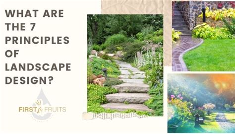 What Are The 7 Principles Of Landscape Design