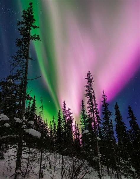 Alaskan Seismometers Record The Northern Lights