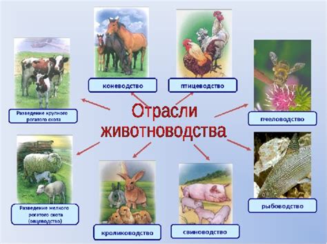 Презентация к уроку окружающего мира по теме "Животноводство в родном крае"