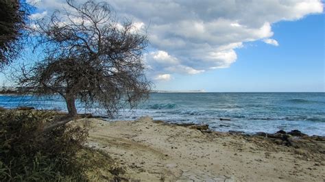 Kostenlose Foto Strand Landschaft Meer Küste Baum Rock Ozean