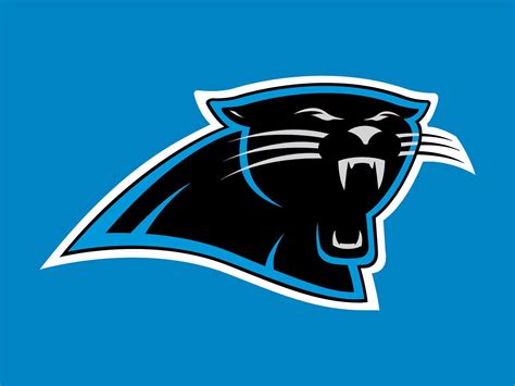 Panthers Carolina Panthers Will Grier Brings Late Season Intrigue