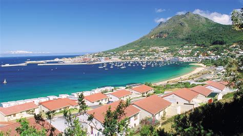 Besøk Simons Town Opplev Det Beste Av Simons Town Cape Town I 2023
