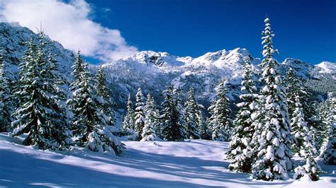 Snow Scenes Desktop Background Alpine See Wildnis Washington An