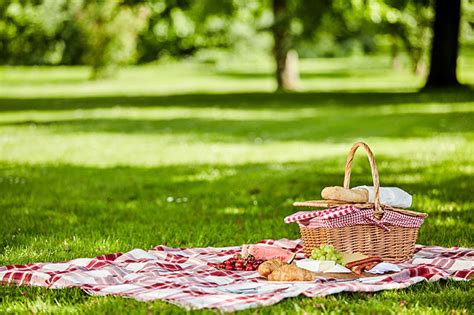 Find picnic 2021 recipes, menu ideas, and cooking tips for all levels from bon appétit, where food and culture meet. International Picnic Day… Don't forget to bring a bottle