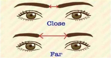 The Gap Between Your Eyebrows May Reveal Your Personality Ungkapan