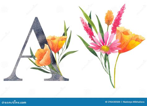 Letter A With Watercolor Wildflowers Floral Alphabet Set Isolated