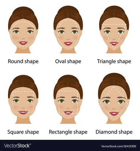 Woman Face Shapes Royalty Free Vector Image Vectorstock