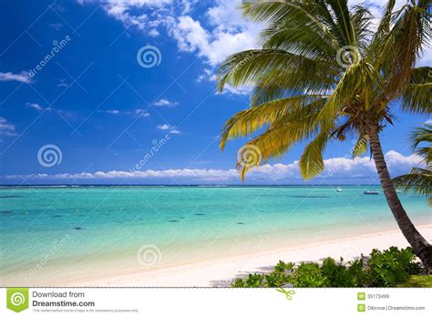 Beautiful Tropical Beach Stock Image Image Of Beach