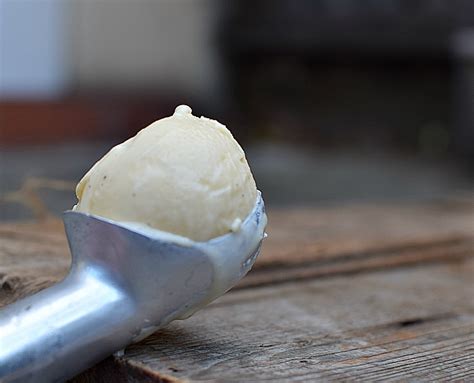 Homemade Vanilla Bean Ice Cream Recipe Creamish