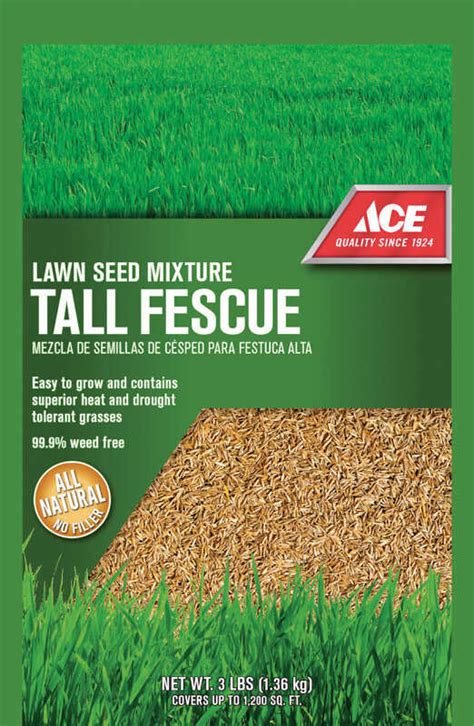 Ace Tall Fescue Lawn Seed Blend 3 Lb Ace Hardware