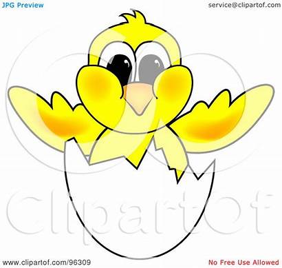 Hatching Clipart Chicks Chick Egg Chicken Yellow