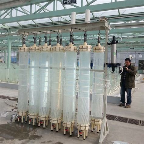 China Photobioreactor Algae Photobioreactor Algae Cultivation China