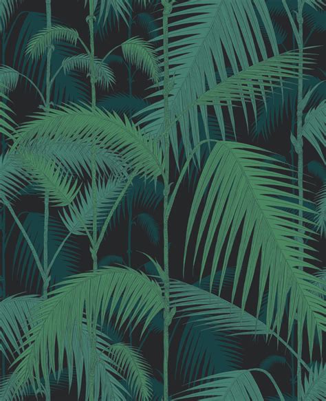 A green jungle palm design wallpaper adorned with large evergreen palm leaves by luxury designer cole & son. Palm Jungle by Cole & Son - Black : Wallpaper Direct