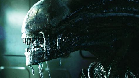 How ‘alien Spawned So Many Others The New York Times