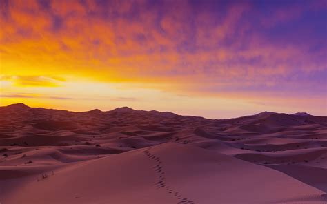 Sahara Desert Sand Dunes Wallpaper High Definition High Quality